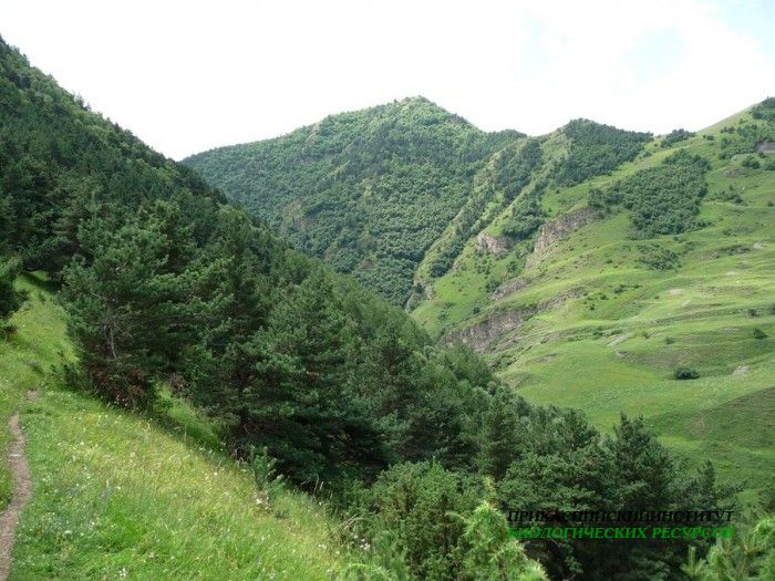 19.панорама.21.7.09тлярош