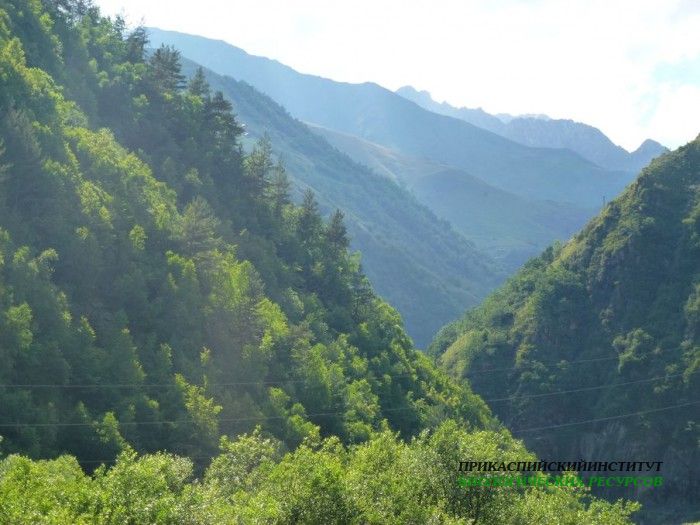 23.панорама.тлярата.17-20.07.12