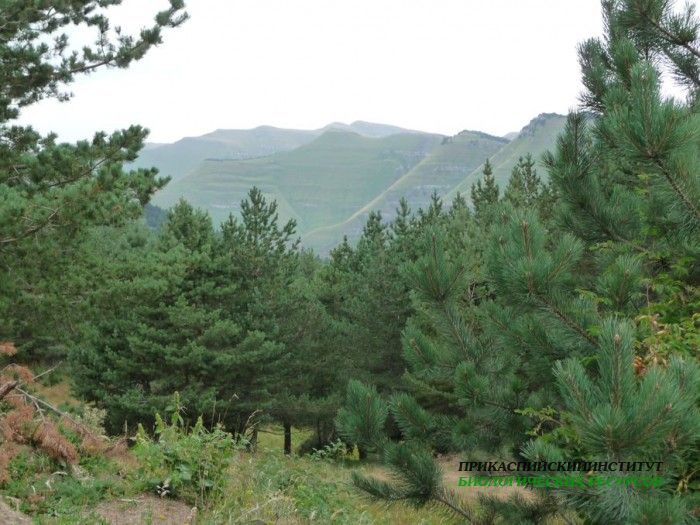 21.пейзаж.тлярош.15.08.10