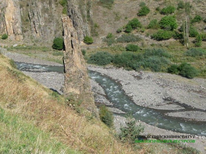 8.пейзаж.тлярош.12.08.10