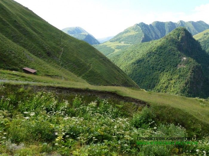 5.панорама.тлярата.17-20.07.12