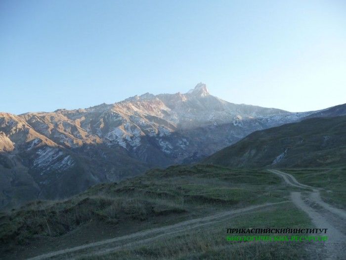 5.шалбуздаг08.12.10