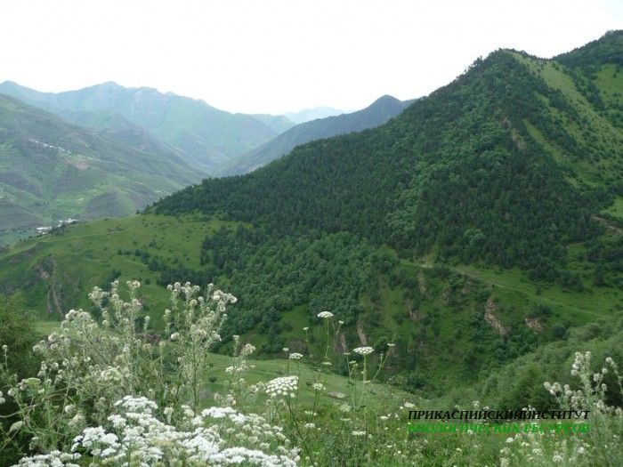 111.панорама.25.7.09тлярош