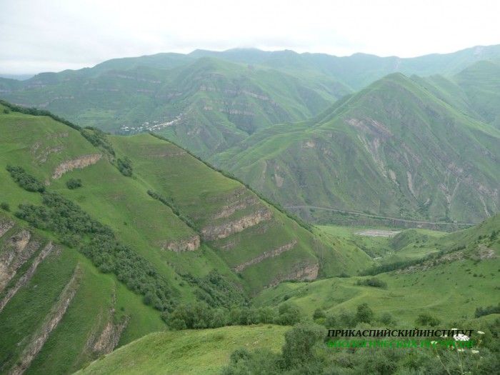 101.панорама.25.7.09тлярош