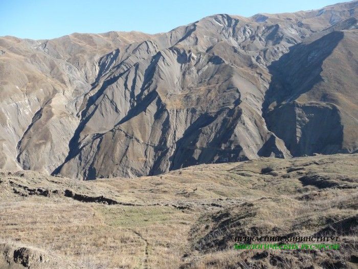 3.шалбуздаг08.12.10