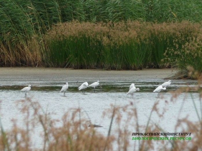 3.м.б.ц.7.8.09турали