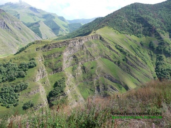 3.панорама.гочоб.21.08.2011