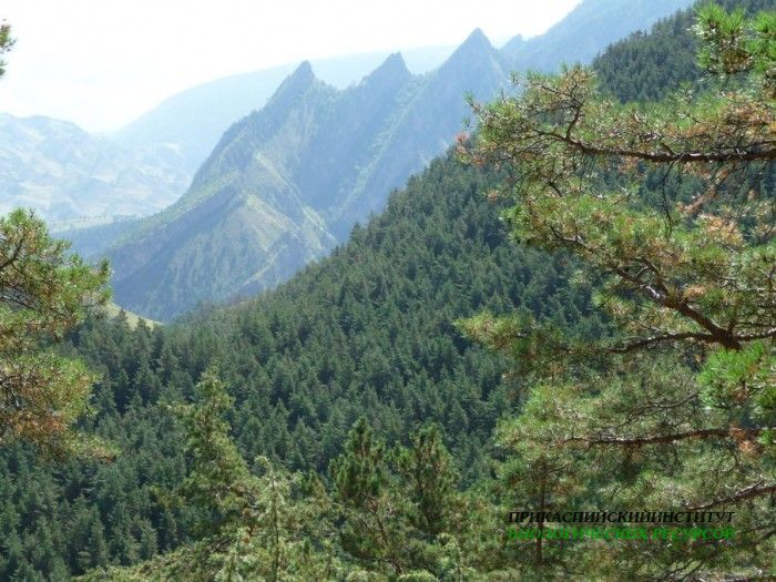 42.панорама.гоцатль.11-13.08.11