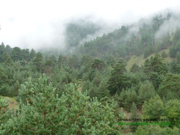 45.панорама.карануб.24.08.2011