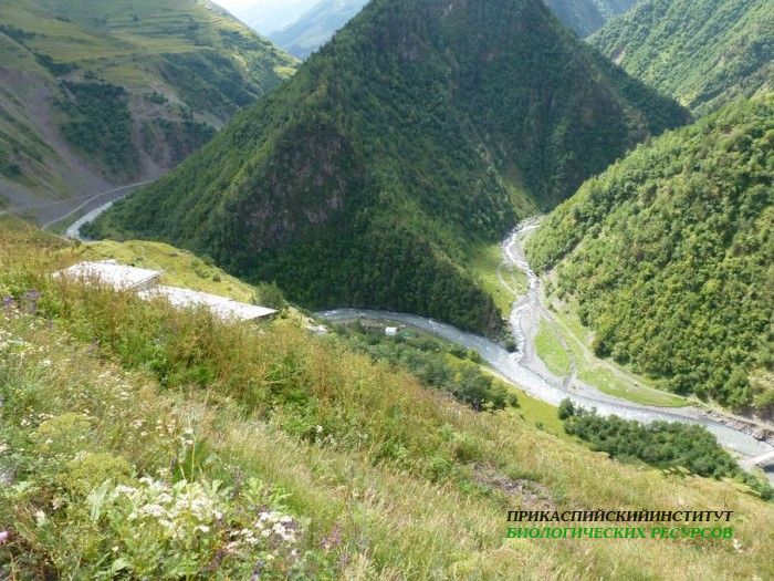 8.панорама.тлярата.17-20.07.12