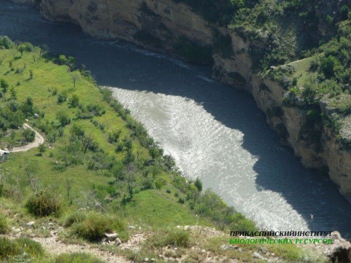 5.авар.койсу.гоцатль28.07.10