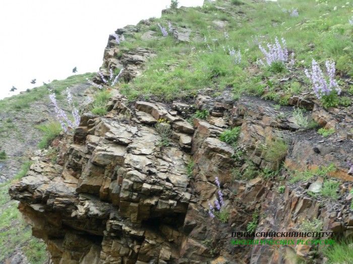 108.панорама.25.7.09тлярош