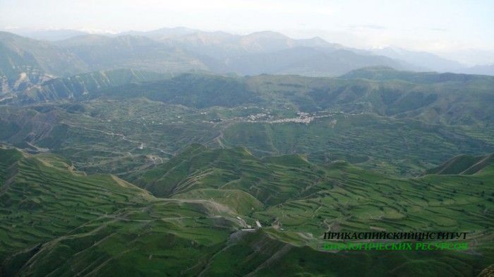 Верхний гуниб (2000 м. над у.м.)