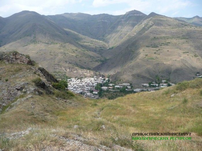 47.пейзаж.тлярош.16.08.10