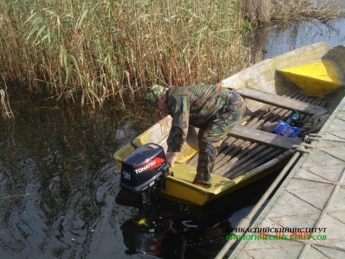 Аграханский залив