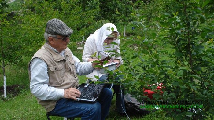 Цудахар, на базе ГБС