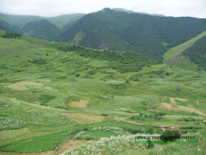 107.панорама.25.7.09тлярош