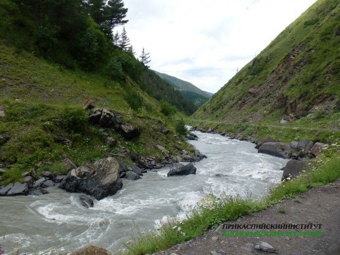 13.панорама.тлярата.17-20.07.12