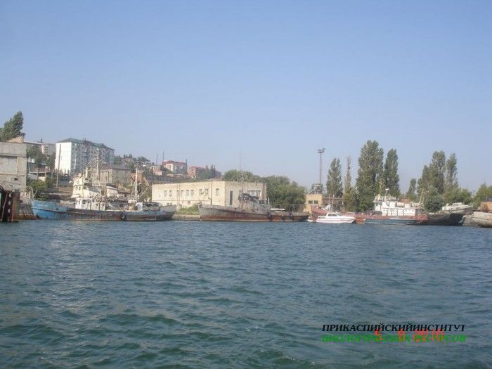 Судно "Цада"