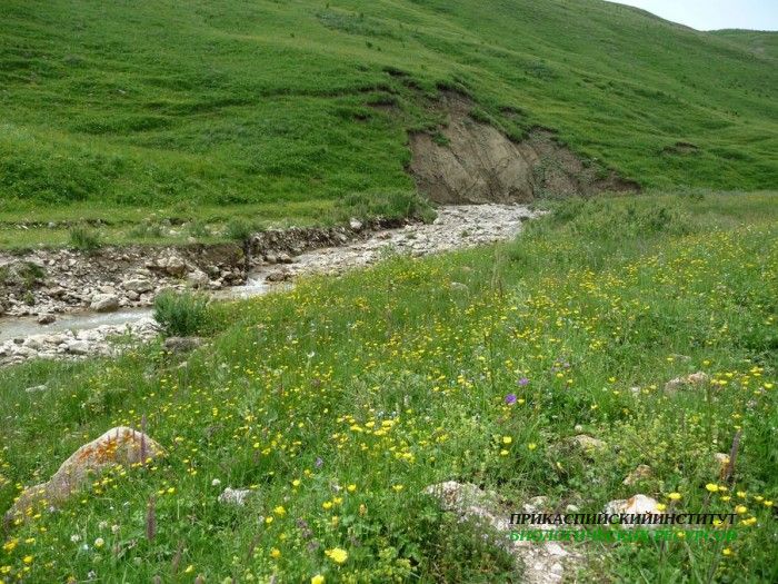 1.панорама.хунзах.рекалуг.08.07.2011