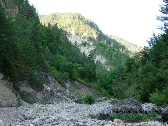 47.панорама.тлохск.ущелье.06.07.2011