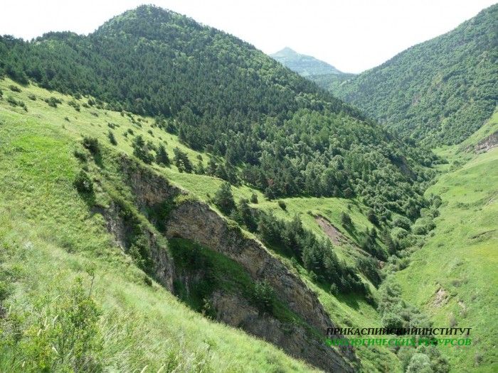 2.панорама.21.7.09тлярош