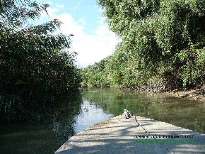 6.канал.панорамааграхан.21-23.09.11