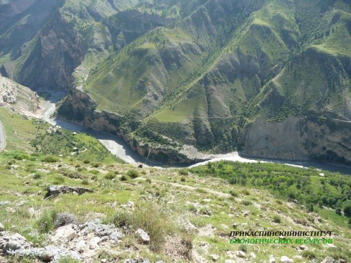 2.авар.койсу.гоцатль28.07.10