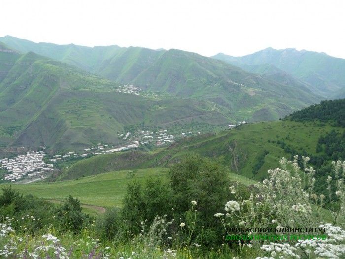 112.панорама.25.7.09тлярош