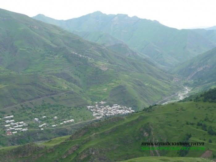 87.панорама.25.7.09тлярош