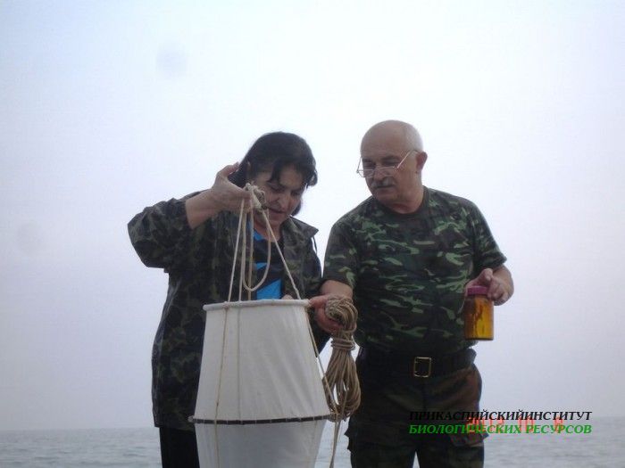 Отбор проб по фитопланктону