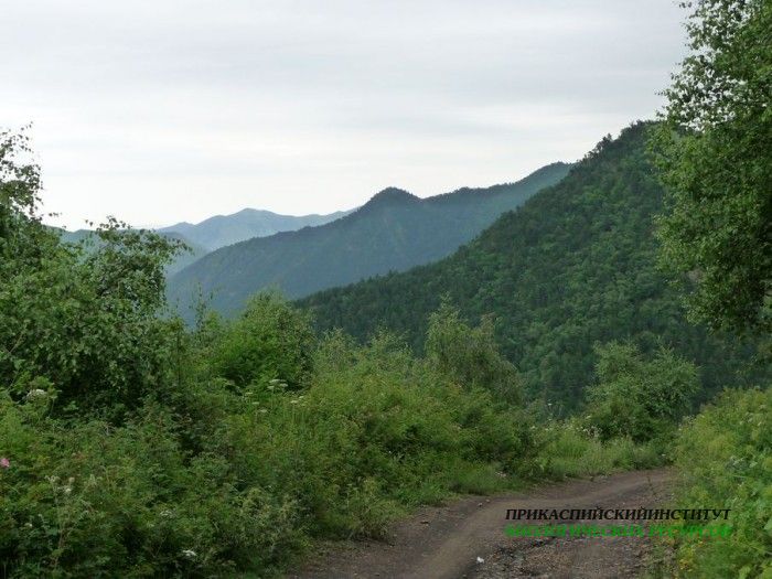 109.панорама.25.7.09тлярош