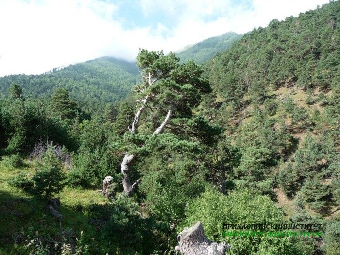 39.панорама.карануб.23.08.2011