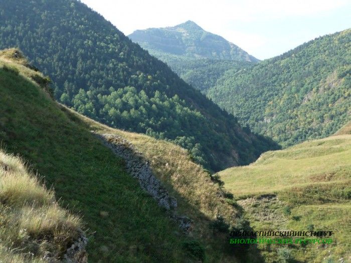 2.пейзаж.тлярош.12.08.10