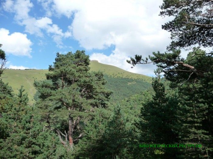 42.панорама.карануб.23.08.2011