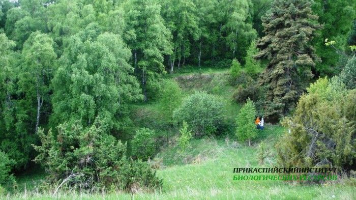 Верхний Гуниб, ГБС, опытный плац