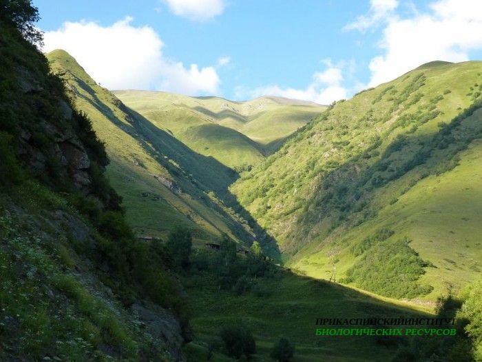 10.панорама.тлярата.17-20.07.12