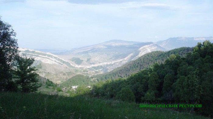 Гуниб, высота 2000 м. над у.м.