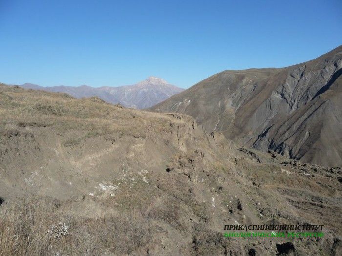 4.шалбуздаг08.12.10