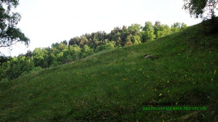 Верхний Гуниб, ГБС, опытный плац