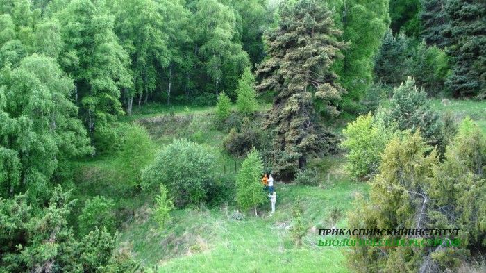 Верхний Гуниб, ГБС, опытный плац