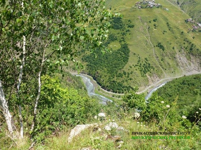 43.панорама.тлярата.17-20.07.12