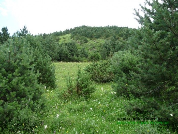 41.панорама.21.7.09тлярош