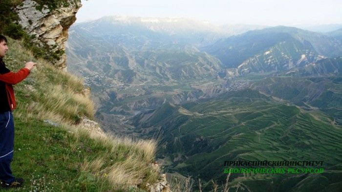 Видеосъемка