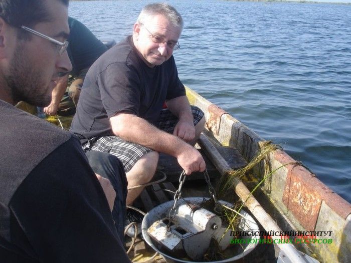 Пробы по бентосу