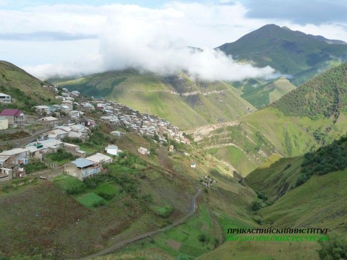 15.панорама.гочоб.22.08.2011