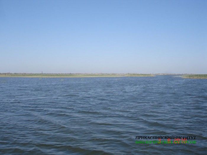 Береговая линия