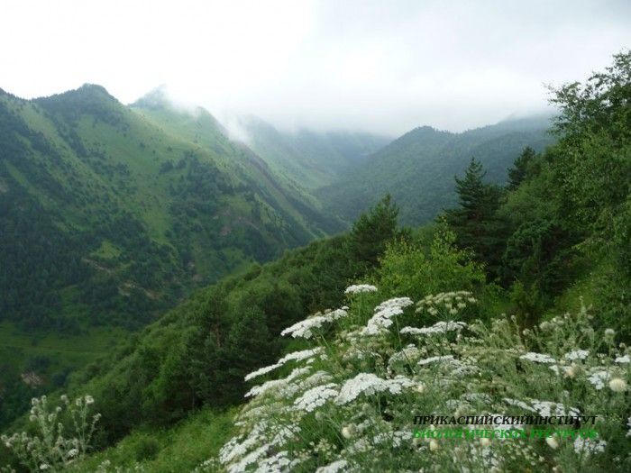 62.панорама.22.7.09тлярош