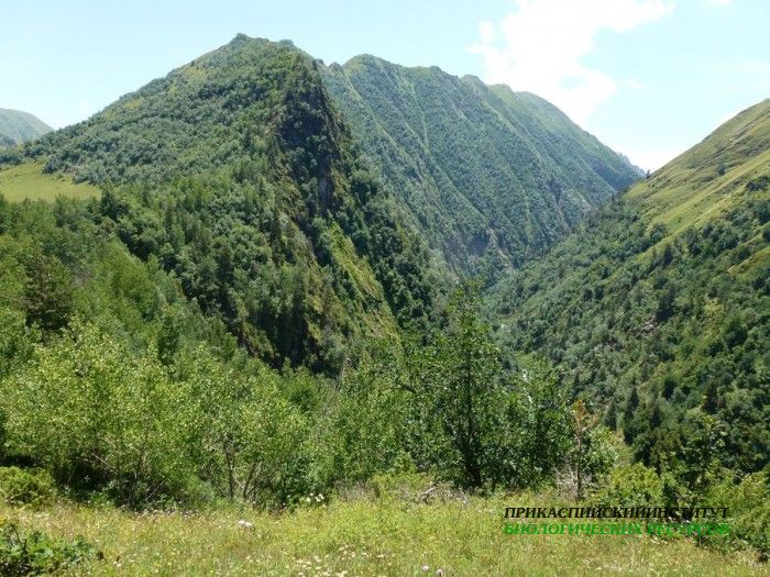 45.панорама.тлярата.17-20.07.12