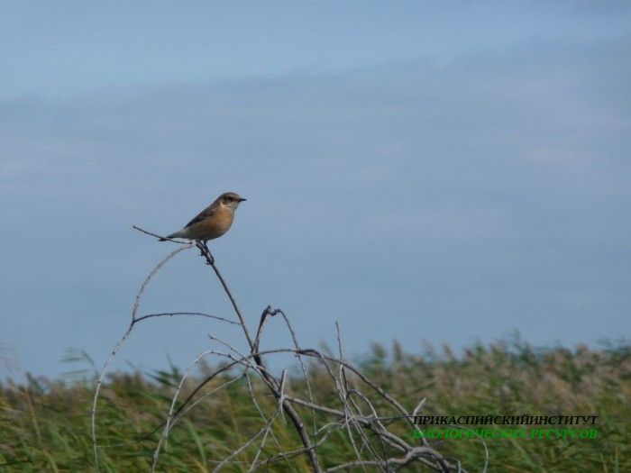 25.луг.чекан.тур.9.10.09